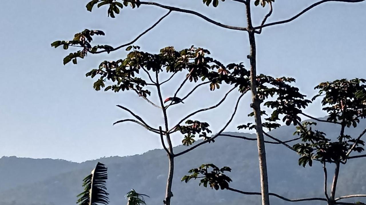 Casa De Montanha Na Praia Ilhabela Eksteriør billede